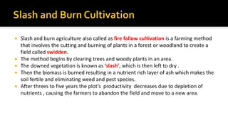  Slash and burn agriculture also called as fire fallow cultivation is a farming method
that involves the cutting and burning of plants in a forest or woodland to create a
field called swidden.
 The method begins by clearing trees and woody plants in an area.
 The downed vegetation is known as ‘slash’, which is then left to dry .
 Then the biomass is burned resulting in a nutrient rich layer of ash which makes the
soil fertile and eliminating weed and pest species.
 After threes to five years the plot’s productivity decreases due to depletion of
nutrients , causing the farmers to abandon the field and move to a new area.
 