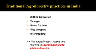  Shifting Cultivation
 Taungya
 Home Gardens
 Alley Cropping
 Intercropping
=> These agroforestry systems are
followed in Lowland humid and
subhumid tropics.
 