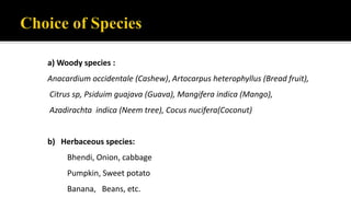 a) Woody species :
Anacardium occidentale (Cashew), Artocarpus heterophyllus (Bread fruit),
Citrus sp, Psiduim guajava (Guava), Mangifera indica (Mango),
Azadirachta indica (Neem tree), Cocus nucifera(Coconut)
b) Herbaceous species:
Bhendi, Onion, cabbage
Pumpkin, Sweet potato
Banana, Beans, etc.
 