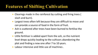  Clearings made in the rainforest by cutting and firing trees (
slash and burn).
 Largest trees often left because they are difficult to move and
can provide a source of food in the form of fruit.
 Ash is scattered after trees have been burned to fertilise the
ground.
 Little fertiliser is added apart from the ash, so the nutrient
level drops quickly leading to the cultivars abandoning the
plot and finding a new one after 7 to 10 years.
 Labour intensive and little use of machines .
 