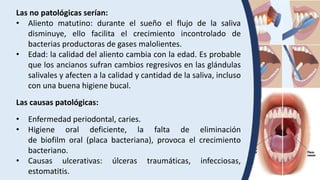 Las no patológicas serían:
• Aliento matutino: durante el sueño el flujo de la saliva
disminuye, ello facilita el crecimiento incontrolado de
bacterias productoras de gases malolientes.
• Edad: la calidad del aliento cambia con la edad. Es probable
que los ancianos sufran cambios regresivos en las glándulas
salivales y afecten a la calidad y cantidad de la saliva, incluso
con una buena higiene bucal.
Las causas patológicas:
• Enfermedad periodontal, caries.
• Higiene oral deficiente, la falta de eliminación
de biofilm oral (placa bacteriana), provoca el crecimiento
bacteriano.
• Causas ulcerativas: úlceras traumáticas, infecciosas,
estomatitis.
 