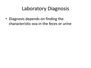 Laboratory Diagnosis
• Diagnosis depends on finding the
characteristic ova in the feces or urine
 