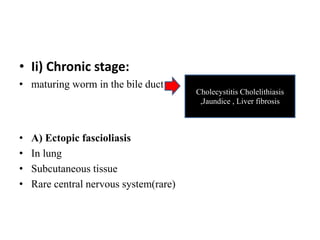 • Ii) Chronic stage:
• maturing worm in the bile duct
• A) Ectopic fascioliasis
• In lung
• Subcutaneous tissue
• Rare central nervous system(rare)
Cholecystitis Cholelithiasis
,Jaundice , Liver fibrosis
 