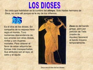 Se creía que habitaban en la cumbre del  olimpo.  Solo Hades hermano de Zeus, no vivía allí porque es le rey de los infiernos. Es el dios de los dioses. En compañía de su esposa Hera regía el mundo. Tuvo numerosa descendencia de sus amores con otras diosas, ninfas y con mujeres mortales. Para obtener el favor de estas adquiría las formas más insospechadas. Sus atributos son el rayo, el cetro y el águila  Zeus  es del bando griego, pero por petición de Tetis (madre de Aquiles) favoreció al bando troyano temporalmente. Zeus era el dios de los dioses LOS DIOSES ZEUS 