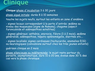 Clinique:phase d'incubation 3 à 30 jours
phase aiguë initiale: durée 8 à 10 semaines
touche les sujets neufs, surtout les enfants en zone d'endémie
- signes locaux correspondant à la porte d'entrée: œdème au
niveau des muqueuses (signe de Ramana), chagome (aspect
furonculoïde et adénopathies satellites)
- signes généraux: asthénie, anorexie, fièvre (1 à 2 mois), œdème
généralisé, adénopathies, hépato-splénomégalie, diarrhée etc...
- signes localisés: signes cardiaques (tachycardie, anomalies ECG)
ou neurologiques (convulsions surtout chez les très jeunes enfants)
guérison clinique en 2 mois
phase silencieuse ou indéterminée: le sujet reste porteur du
parasite, asymptomatique, dure 10 à 20 ans, évolue dans 30 % des
cas vers la phase chronique
 
