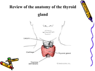 Review of the anatomy of the thyroid
gland
 
