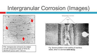 Intergranular Corrosion (Images)
FIG. Intergranular corrosion of a failed
aircraft component made of 7075-T6
aluminum (picture width = 500 mm)
Fig. Severe problem in the welding of stainless
steels, when it is termed weld decay.
 