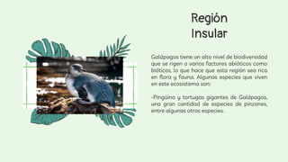 Región
Insular
Galápagos tiene un alto nivel de biodiversidad
que se rigen a varios factores abióticos como
bióticos, lo que hace que esta región sea rica
en flora y fauna. Algunas especies que viven
en este ecosistema son:
-Pingüino y tortugas gigantes de Galápagos,
una gran cantidad de especies de pinzones,
entre algunas otras especies.
How about four
columns?
 