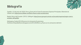 Bibliografía
Castillo, I. (3 de junio de 2020). Flora y Fauna de la Costa Ecuatoriana: Especies Principales. Obtenido de
Lifeder.com: https://www.lifeder.com/flora-fauna-costa-ecuatoriana/
Región Sierra del Ecuador. (2021). GoRaymi. https://www.goraymi.com/es-ec/ecuador/regiones/region-sierra-
ecuador-a83yz6jhx
Mahogany Caoba.(2012)Fauna en la Amazonia Ecuatoriana.
Desfuturo.http://desfutura.blogspot.com/2012/05/flora-y-fauna-en-la-amazonia-del.html
 