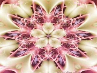UN ACERCAMIENTO A LA GEOMETRÍA  FRACTAL