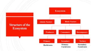 Structure of the
Ecosystem
Abiotic Factors Biotic Factors
Producers Consumers Decomposers
Primary Secondary Tertiary
Ecosystem
Herbivores Primary
Carnivores
Secondary
Carnivores
 