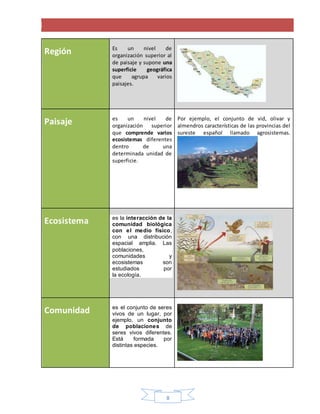 8
Región Es un nivel de
organización superior al
de paisaje y supone una
superficie geográfica
que agrupa varios
paisajes.
Paisaje es un nivel de
organización superior
que comprende varios
ecosistemas diferentes
dentro de una
determinada unidad de
superficie.
Por ejemplo, el conjunto de vid, olivar y
almendros características de las provincias del
sureste español llamado agrosistemas.
Ecosistema 1. es la interacción de la
comunidad biológica
con el medio físico,
con una distribución
espacial amplia. Las
poblaciones,
comunidades y
ecosistemas son
estudiados por
la ecología.
Comunidad es el conjunto de seres
vivos de un lugar, por
ejemplo, un conjunto
de poblaciones de
seres vivos diferentes.
Está formada por
distintas especies.
 