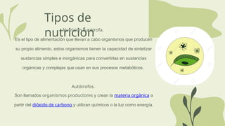 Nutrición autótrofa.
Es el tipo de alimentación que llevan a cabo organismos que producen
su propio alimento, estos organismos tienen la capacidad de sintetizar
sustancias simples e inorgánicas para convertirlas en sustancias
orgánicas y complejas que usan en sus procesos metabólicos.
Autótrofos.
Son llamados organismos productores y crean la materia orgánica a
partir del dióxido de carbono y utilizan químicos o la luz como energía.
Tipos de
nutrición
 