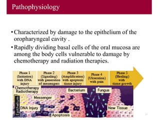 Pathophysiology
•Characterized by damage to the epithelium of the
oropharyngeal cavity .
•Rapidly dividing basal cells of the oral mucosa are
among the body cells vulnerable to damage by
chemotherapy and radiation therapies.
17
 