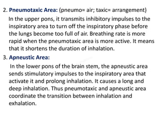 2. Pneumotaxic Area: (pneumo= air; taxic= arrangement)
In the upper pons, it transmits inhibitory impulses to the
inspiratory area to turn off the inspiratory phase before
the lungs become too full of air. Breathing rate is more
rapid when the pneumotaxic area is more active. It means
that it shortens the duration of inhalation.
3. Apneustic Area:
In the lower pons of the brain stem, the apneustic area
sends stimulatory impulses to the inspiratory area that
activate it and prolong inhalation. It causes a long and
deep inhalation. Thus pneumotaxic and apneustic area
coordinate the transition between inhalation and
exhalation.
 
