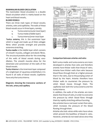 46 ADVANCED LEVEL TRANSPORT NOTES 2019 (modelled by king SOYEKWO ROGERS 07012119966
MAMMALIAN BLOOD CIRCULATION
The mammalian blood circulation is a double
blood circulation which is mainly based on the
heart and blood vessels,
BLOOD VESSELS
There are three main types of blood vessels;
arteries, veins andcapillaries. The walls of these
blood vessels occur in three layers, namely;
a. Tunica externa (outer most layer)
b. Tunica media (middle layer)
c. Tunica interna (inner most layer
Tunica externa, this is the outermost layer
which is tough and made up of thick collagen
fibres which provide strength and prevents
extensive stretching.
Tunica media is the middle layer which consists
of smooth muscles, collagen and elastic fibres.
The structural proteins allow for the stretching
of the walls of blood vessels during vaso-
dilation. The smooth muscles allow for the
distension and constriction of the walls of the
blood vessels.
Tunica interna is the innermost layer composed
of a single layer of squamous endothelium. It is
found in all walls of blood vessels. Capillaries
have only the tunica interna.
Diagrams showing the transverse sections of
the vein, artery and capillary
Comparison between arteries and veins
Both tunica media and tunica externa are more
developed in arteries than veins and therefore
arteries have thicker walls than those of veins.
Arteries have thicker walls than veins because
blood flows through them at a higher pressure
than in the veins, due to the pumping action of
blood by the heart. Arteries therefore have
thicker walls to counteract the pressure by
which blood moves through them. The
capillaries lack both the tunica externa and the
tunica interna.
In addition, the walls of the arteries are more
elastic thanthose of veins, in order to overcome
the pressure by which blood flows through
them by rapidly stretching without bursting.
Also arteries have a narrower rumen thanveins,
which increases the pressure of the blood
flowing through them.
Arteries also lack valves while veins have valves
which prevent the backflow of blood in veins.
However, arteries do not need valves since they
 