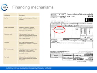Financing mechanisms

INTERNATIONAL UNION FOR CONSERVATION OF NATURE

 