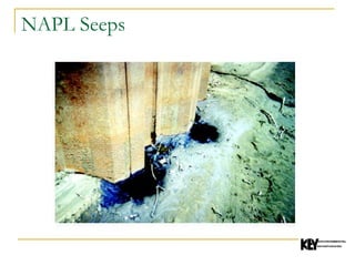 NAPL Seeps 