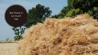 But there is
so much
hay
 
