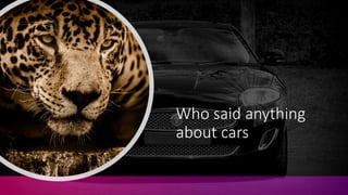Who said anything
about cars
 