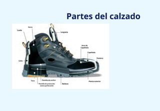 Partes del calzado
 