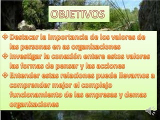 Valores en las organizaciones
