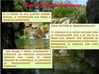 Valores en las organizaciones