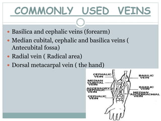 COMMONLY USED VEINS
 Basilica and cephalic veins (forearm)
 Median cubital, cephalic and basilica veins (
Antecubital fossa)
 Radial vein ( Radical area)
 Dorsal metacarpal vein ( the hand)
 