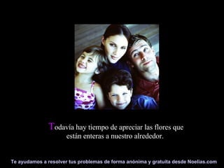 T odavía hay tiempo de apreciar las flores que están enteras a nuestro alrededor.  