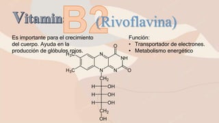 (Rivoflavina)
Es importante para el crecimiento
del cuerpo. Ayuda en la
producción de glóbulos rojos.
Función:
• Transportador de electrones.
• Metabolismo energético
 