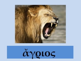 ἄγριος   