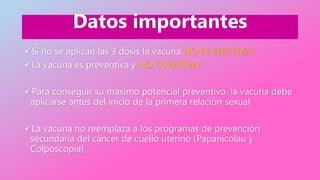 Datos importantes
Si no se aplican las 3 dosis la vacuna NO ES EFECTIVA!
La vacuna es preventiva y NO CURATIVA!!
Para conseguir su máximo potencial preventivo, la vacuna debe
aplicarse antes del inicio de la primera relación sexual
La vacuna no reemplaza a los programas de prevención
secundaria del cáncer de cuello uterino (Papanicolau y
Colposcopía)
 