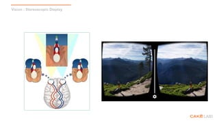 Vision : Stereoscopic Display
 