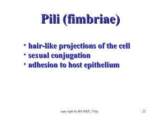 Pili (fimbriae) hair-like projections of the cell sexual conjugation  adhesion to host epithelium 