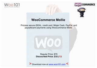 WooCommerce Mollie 
Process secure iDEAL, credit card, Mister Cash, PayPal, and 
paysafecard payments using WooCommerce Mollie. 
Regular Price: $79 
Discounted Price: $10 (!!!) 
 Download now at www.woo101.com  
 