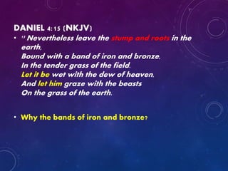 DANIEL 4:15 (NKJV)
• 15 Nevertheless leave the stump and roots in the
earth,
Bound with a band of iron and bronze,
In the tender grass of the field.
Let it be wet with the dew of heaven,
And let him graze with the beasts
On the grass of the earth.
• Why the bands of iron and bronze?
 