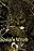 Gosia's Witch