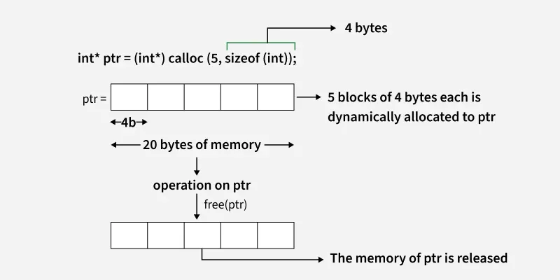 Free-function-in-c