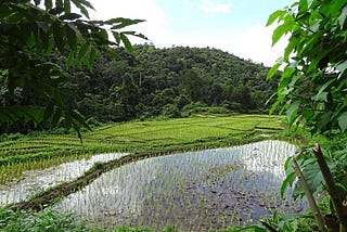 What Trekking Through the Jungles of SE Asia Taught Me About Entrepreneurship