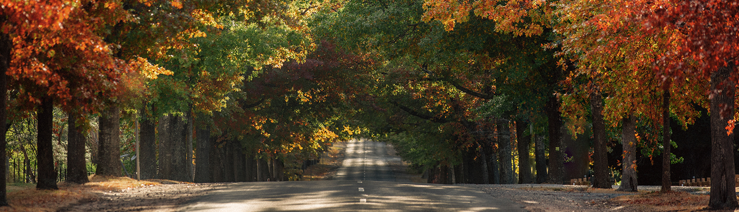 Macedon Ranges Shire