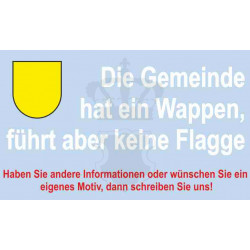 Fahne von Villenbach