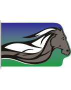 Horseflame