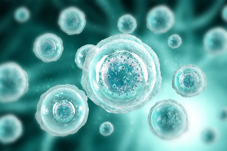 3D illustration of human cells.