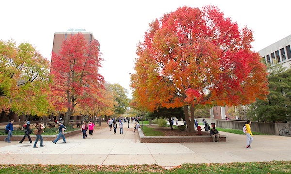 A vibrant autumn scene featuring students walking on campus pathway surrounded by trees with red and orange foliage.
